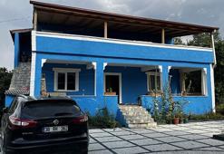 Çatı temizliği sırasında aynı aileden 4 kişiye arılar saldırdı