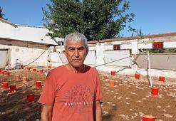 Adana'da hortumda zarar gören çiftliklerdeki 20 bin civciv öldü