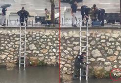Yağmurda dereye sürüklenen yavru kediyi kurtarmak için zamanla yarıştılar