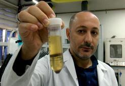 Hayvan yemi olarak kullanılan fındık posası, tüketilebilir protein kaynağına dönüşecek