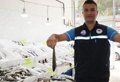 Van Gölü'nde inci kefalinin boyu, koruma çalışmalarıyla yüzde 30 uzadı