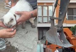 Maltepe’de enkaz altında kalan kedi saatler sonra canlı çıkarıldı