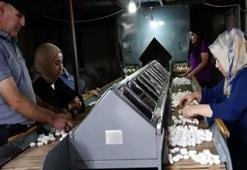 Diyarbakır’da ipek böcekçiliği, bin çiftçiye geçim kaynağı oluyor