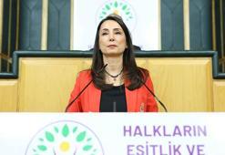 DEM Parti’li Hatimoğulları: Meclis’te komisyon kurulmalı