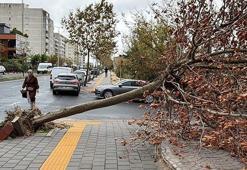 Tekirdağ'da fırtına; eğitim uçuşları iptal edildi, balıkçılar denize açılamadı