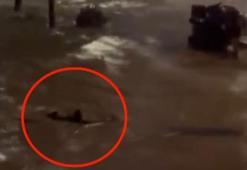 Sarıyer'de göle dönen caddede akıntıya kapılmamak için yüzdü