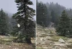 Uludağ'a kar yağdı