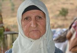Annesiyle başladığı çitlembik mesaisini 78 yaşında sürdürüyor