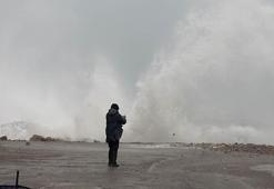 Amasra'da fırtına; çok sayıda ağaç devrildi