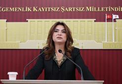 DEM Parti’li Koçyiğit: Bu ülkedeki her 100 liranın 17 lirası faize gidiyor