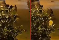 Kağıthane’de eski sevgilisi ile erkek arkadaşını vuran şüpheli: Üzerime kılıçla gelince ayağına ateş ettim