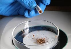 Her 10 sigara çeşidinin 9'unda mikroplastik çıktı