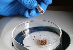 Her 10 sigara çeşidinin 9’unda mikroplastik çıktı