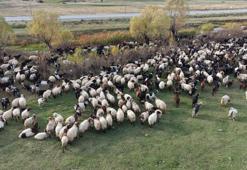 Van ve Bitlis’te göçerlerin dönüş yolculuğu başladı