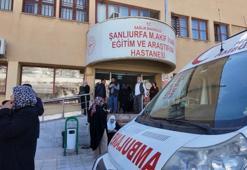Yaprak sarması yiyen 12 öğrenci, zehirlenme şüphesiyle hastaneye kaldırıldı