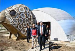COP31'in maskotu 'caretta caretta' için pavilyon tasarlandı