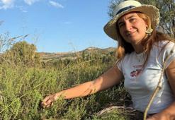 İstanbul'daki 10 yıllık turizm kariyerini bıraktı, Bodrum'da çiftlik kurdu