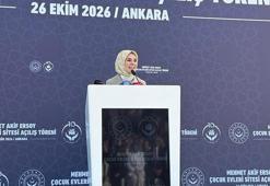 Bakan Göktaş: 11 bin 72 çocuğumuz koruyucu aile şefkatiyle büyüyor