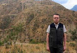 Şakalaşma sırasında atılan torpille yanan alan, 27 bin fidanla yeniden ağaçlandırıldı