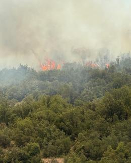 Gaziantepte çıkan orman yangını kontrol altında