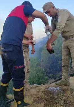 Yangından etkilenen kaplumbağa, ekipler tarafından kurtarıldı