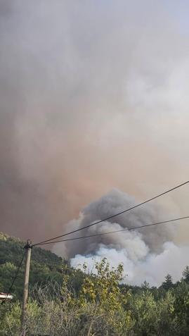 Kastamonudaki orman yangınları 3üncü gününde