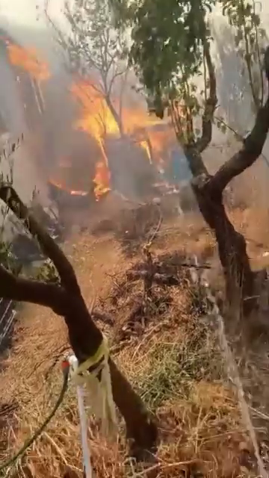 Kocaelide orman yangını: 3 mahalle tahliye edildi