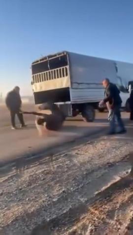 Kamyonetin arkasına bağladığı atı dakikalarca sürükledi; o anlar kamerada