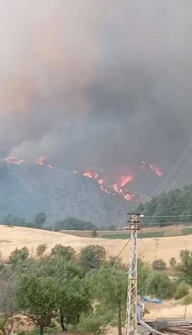 Kahramanmaraş’ta orman yangını
