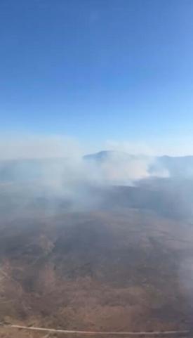 İzmirdeki orman yangını 2nci gününde