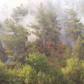 Kastamonudaki orman yangınları 3üncü gününde