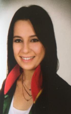 Bolu Belediye Başkan Yardımcısı ile CHPli meclis üyesi tahliye oldu