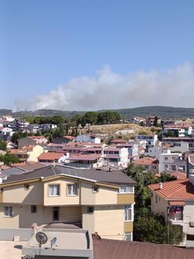 İzmirde orman yangını