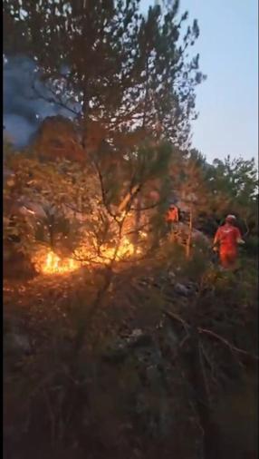 Eskişehirdeki orman yangını 2nci gününde