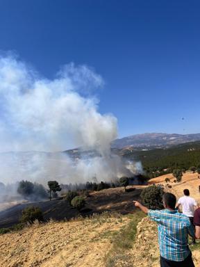 Kütahyada çıkan orman yangını kontrol altında