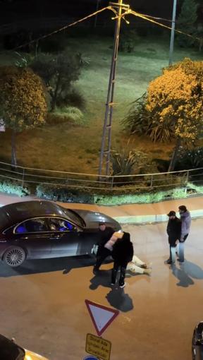 Şişli’de sokaktaki tartışma sonrası kendini yerden yere atan kadın direği yumrukladı