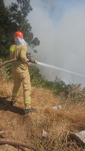 Bursada orman yangını