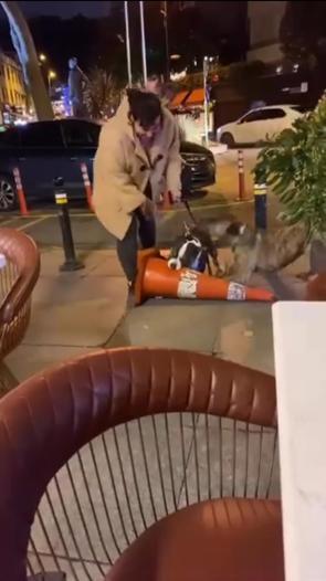 Bebekte ağızlıksız gezdirilen pitbull dubaya saldırdı; sahibine 76 bin lira ceza kesildi