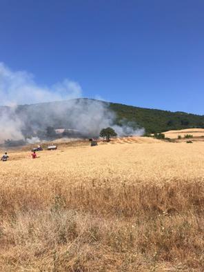 Bursa’da anız yangını ormana sıçradı