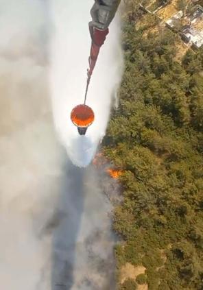 İzmir Bornovadaki orman yangını kontrol altında