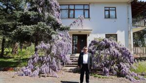 Filozof Teoman Duralı Müzesi projesi için inceleme yapıldı