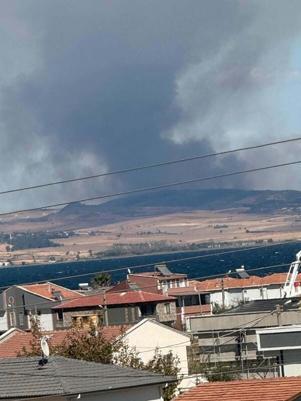 Çanakkalede tarım arazisindeki yangın ormana sıçradı
