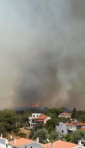 İzmir Çeşmede orman yangını