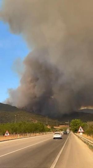 Bursa’da orman yangını kontrol altında