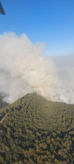 Sakaryada çıkıp Bilecike sıçrayan orman yangını 2nci gününde