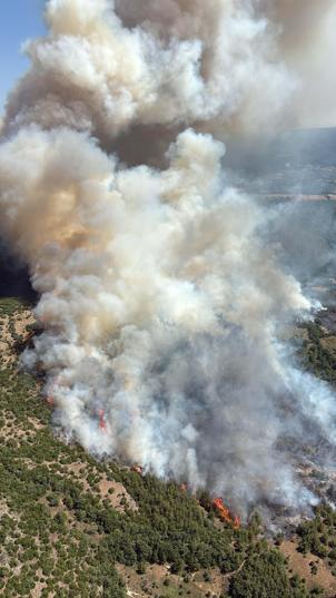 Balıkesirde orman ve tarım arazisinde yangın