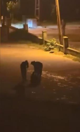 Başakşehirde yolda silahlı saldırıya uğrayan Eyüphan ağır yaralandı; arkadaşları başında bekledi