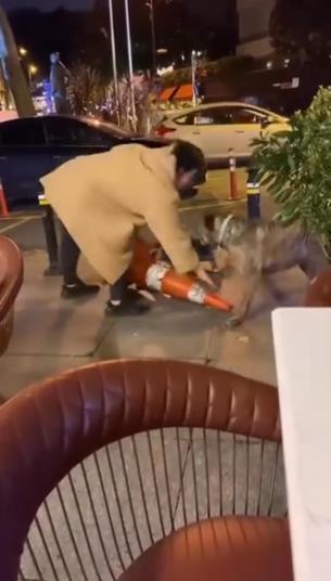 Bebekte ağızlıksız gezdirilen pitbull dubaya saldırdı; sahibine 76 bin lira ceza kesildi