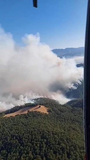 Sakaryada çıkıp Bilecike sıçrayan orman yangını 2nci gününde