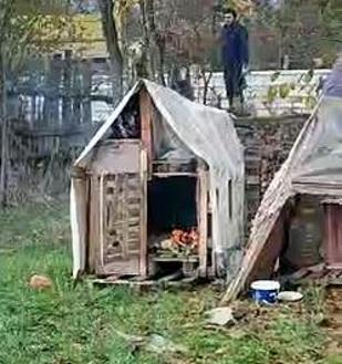 Köpek kulübelerini ateşe verip, kendisine tepki gösterene bıçak çeken şüpheli serbest